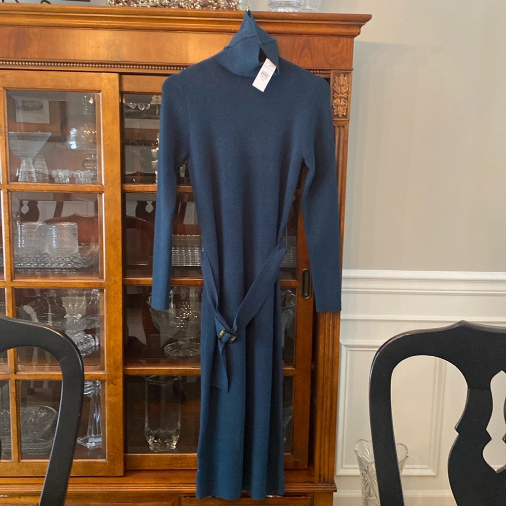 Ann Taylor Womens Blue/Green sweater dress